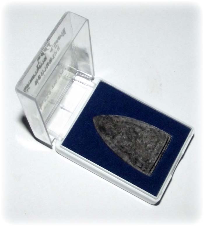 LP Tuad Pim Tao Reed amulet Comes with Original Box from the Temple
