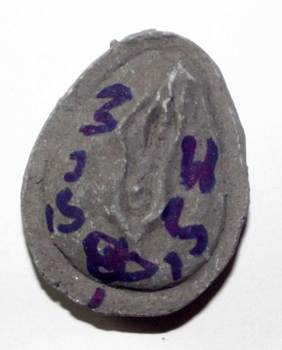 Yoni Mae Gamnerd Ongk Kroo - (Erotic Transformation of Kali) Vulva Magic Love Charm - Pong Prai 59 Dton + Pong Saneh Ya Faed + Chin Aathan - Ajarn Akaradech